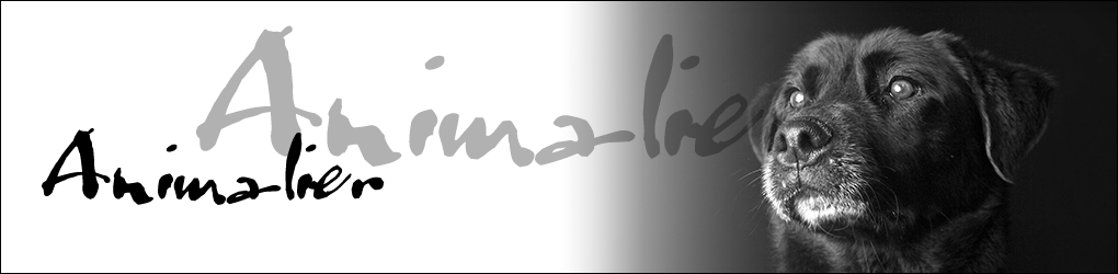 Photographe animalier toulouse 5