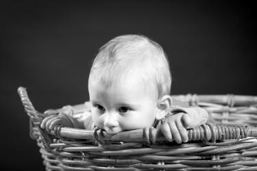Photographe bebe toulouse 24