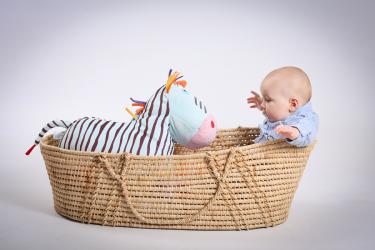 Photographe bebe toulouse 38