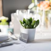 Photographe mariage colomiers 46
