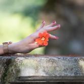 Photographe mariage occitanie 142