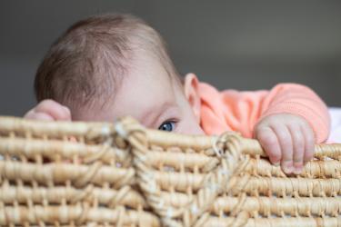 Photographe naissance toulouse 100