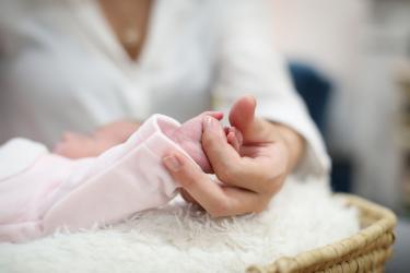 Photographe naissance toulouse 138