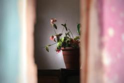 Reportage photo cuba guillaume lemarie photographe 30