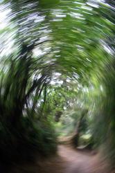 Cours de photo Toulouse / le flou